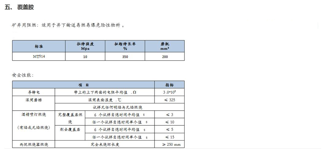 PVC&PVG整芯阻燃输送带3.JPG